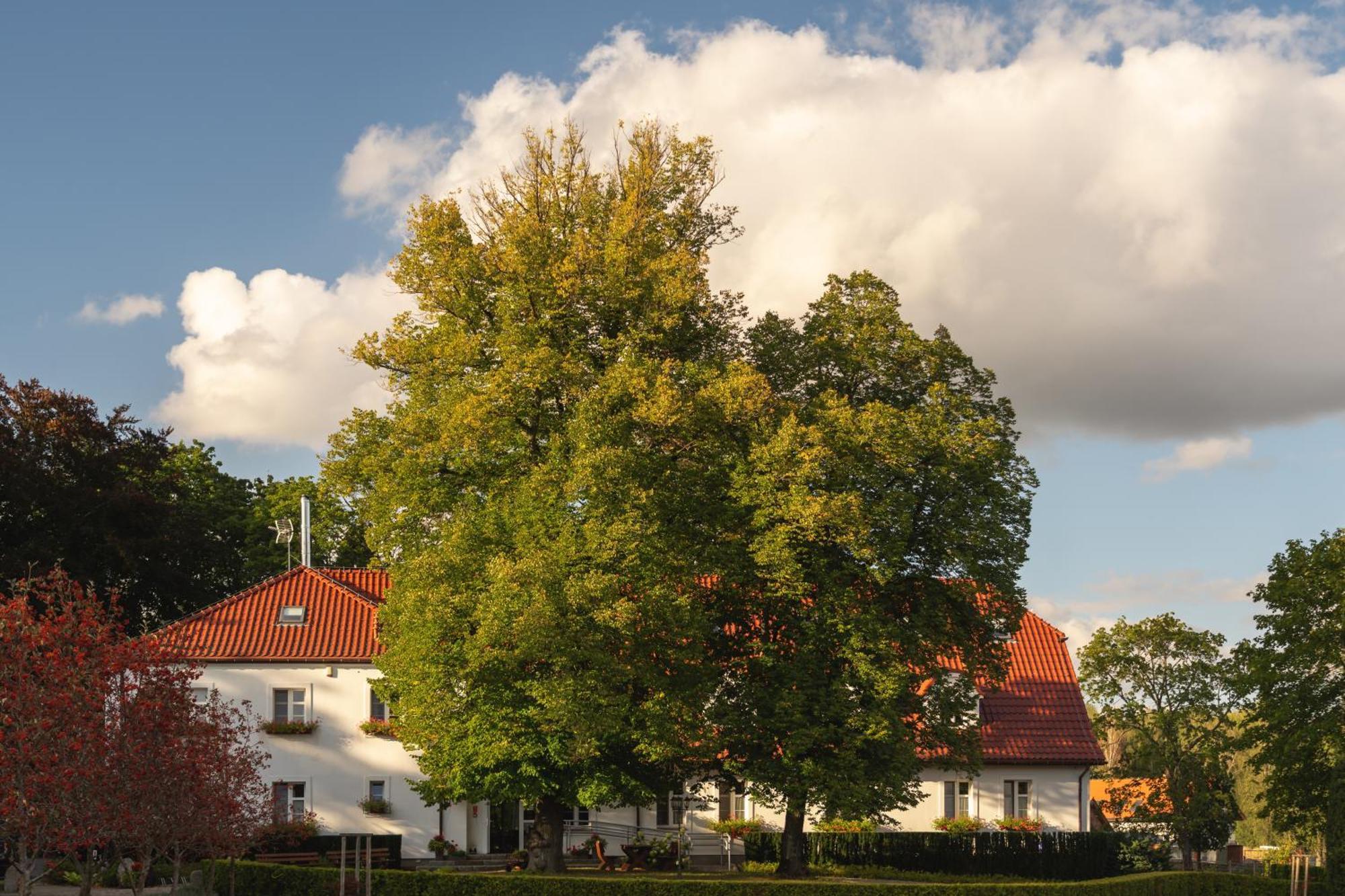 Stary Mlyn Strzeszyn Hotel Lubowo  Luaran gambar